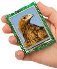 Mikromedia_for_P_50d3414d3cac4.png